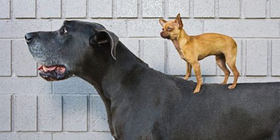 20190225-KCM-Share-549×300