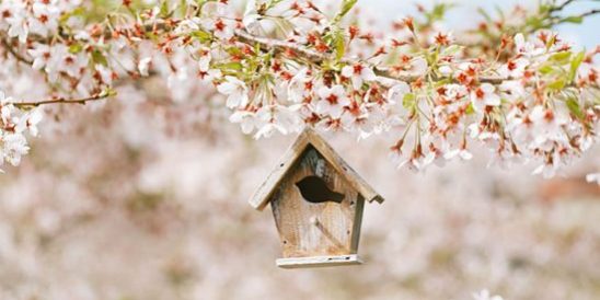 20190327-Share-KCM-549×300