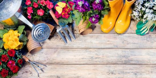 20190405-Share-KCM-549×300