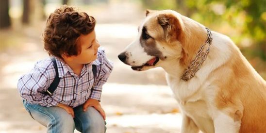 20190419-Share-KCM-549×300