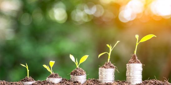 20190801-Share-KCM-2-549×300