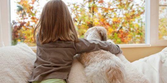 20190903-Share-KCM-549×300