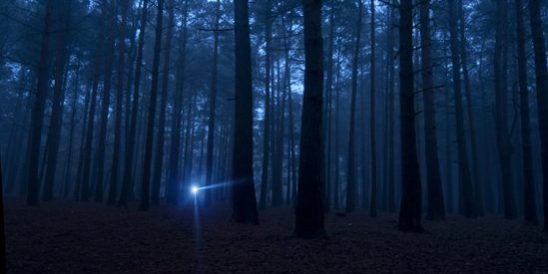 20191031-KCM-Share-2-1-549×300