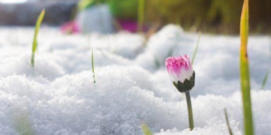 20200108-KCM-Share-549×300-1