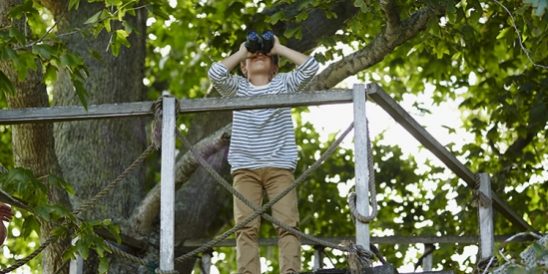 20200629-KCM-Share-549×300-1