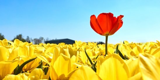 20200713-KCM-Share-549×300-1