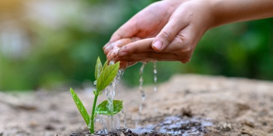 20200728-KCM-Share-549×300-1