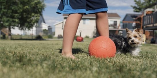 20200914-KCM-Share-549×300-1