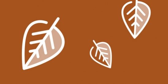 20200925-KCM-Share-549×300-1