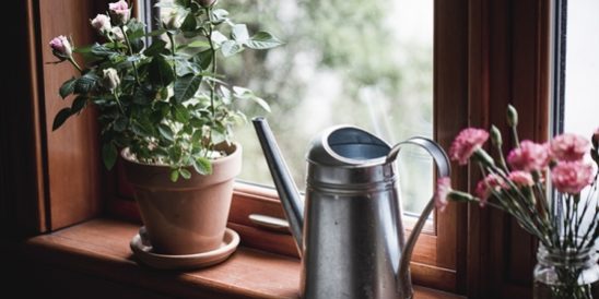 20210304-KCM-Share-549×300-1