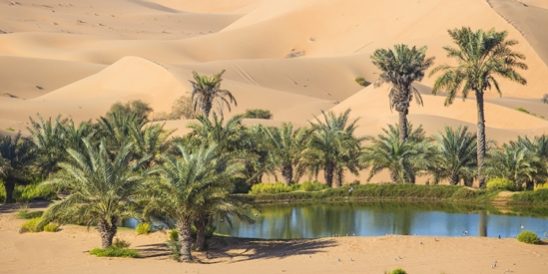 20210513-KCM-Share-549×300-1